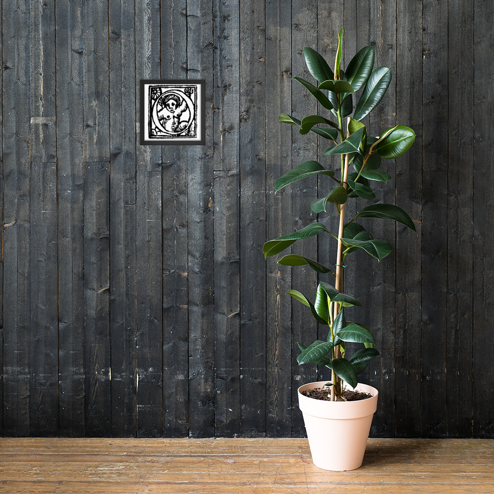 Framed poster - Antique Initial O - Image 4