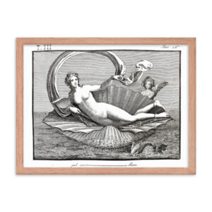 Framed poster - Pompeii Venus