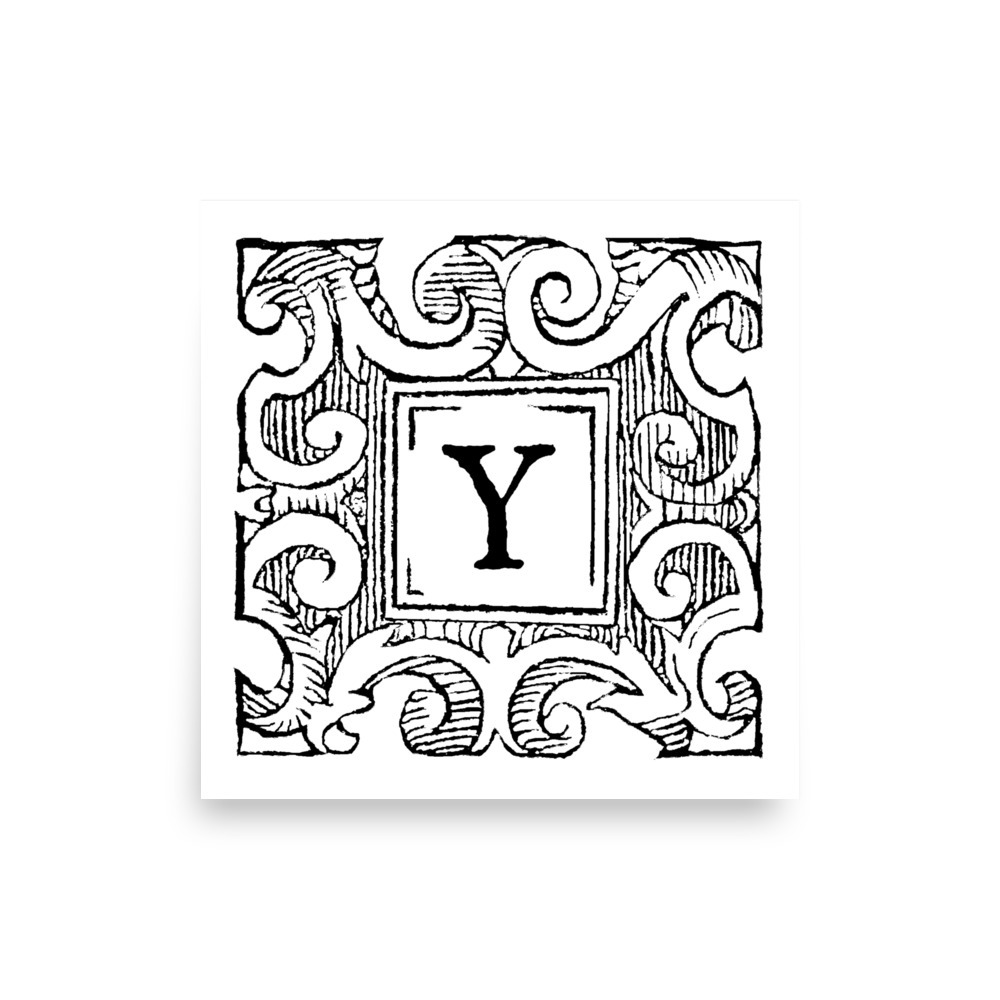 Poster - Antique Letter Y - Image 2